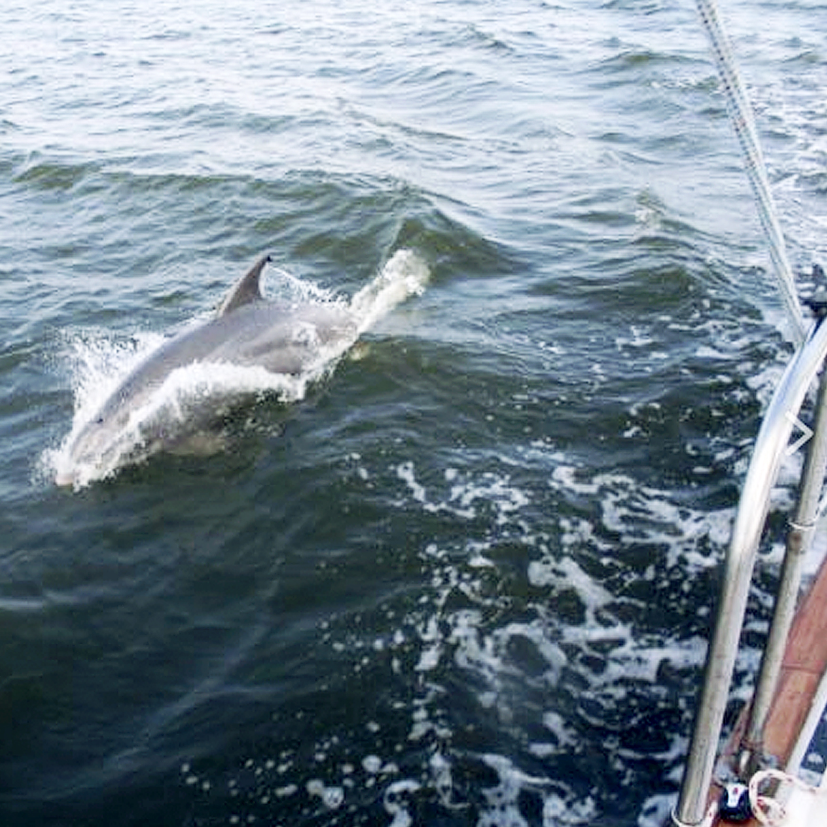 Sail Outer banks cruise