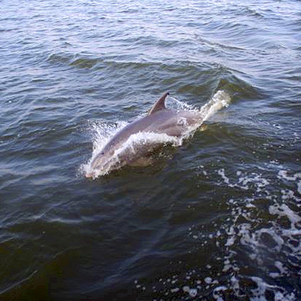 Sunset cruise Outer Banks r