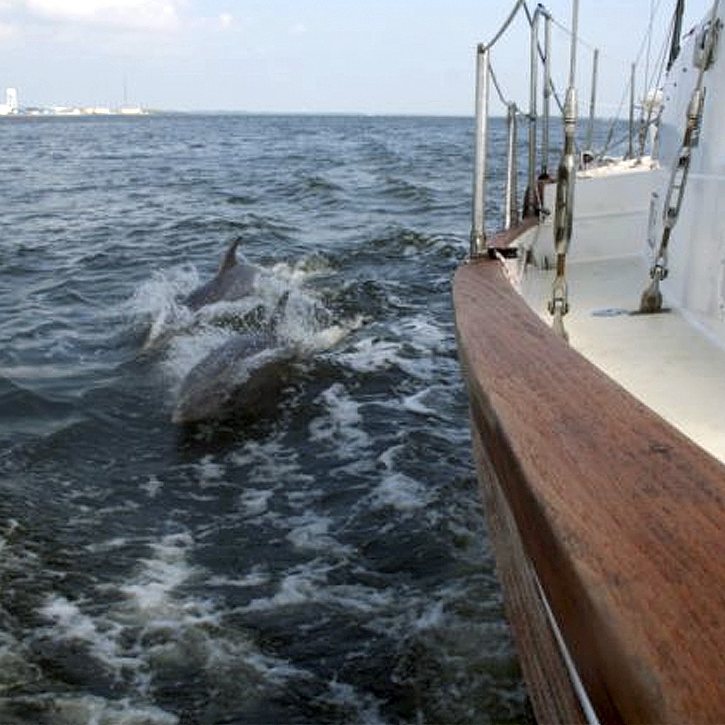 Sunset cruise Outer BanksE